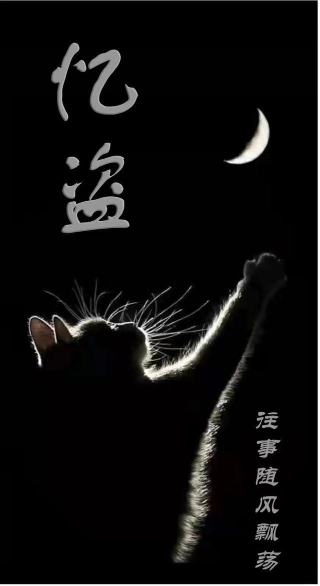 忆盗 往事随风飘荡
