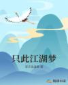 只此江湖梦武功排名