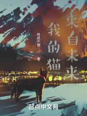 我的未来由我来主宰是什么歌的歌词