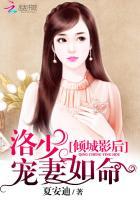 倾城影后洛少宠妻如命全文免费