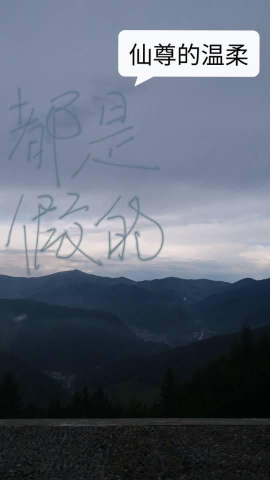 仙尊的温柔都是假的推荐