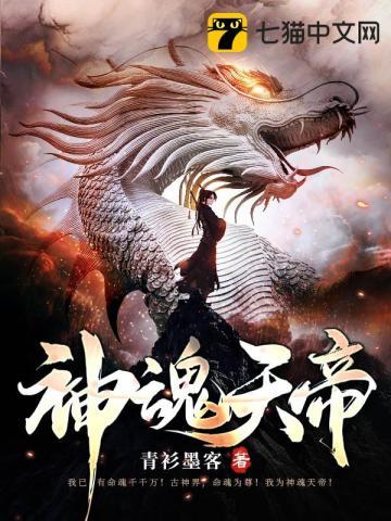 魂天帝是帝境灵魂吗