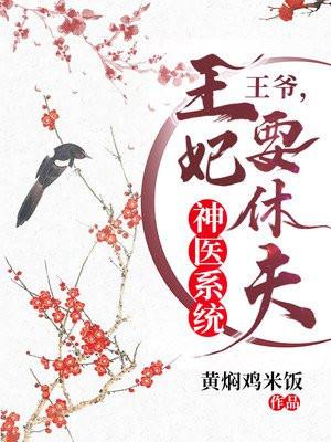 神医王妃王爷很高调