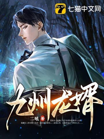 九州龙婿txt