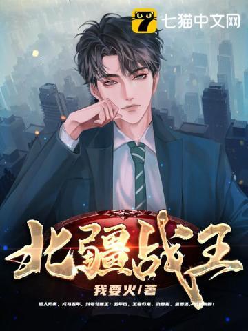 北王战刀免费阅读无弹窗