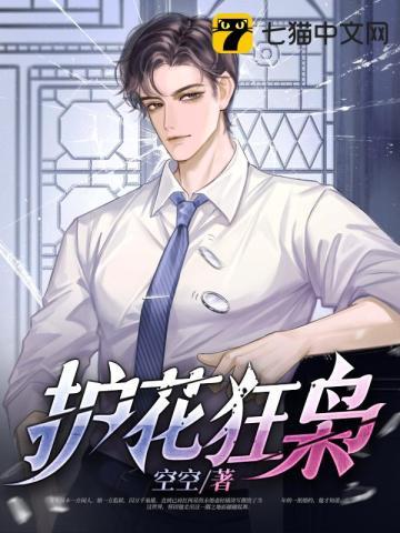 护花狂少全文