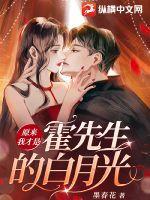 你是我的言不由免费阅读 名