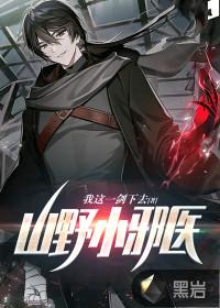 山野小邪医叶凡沈丹