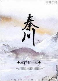 秦川大地有限责任公司