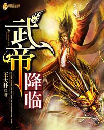 武帝升级系统免费阅读