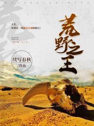 荒野之王king of wasteland 全人物h全动画+cg版
