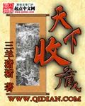 天下收藏董事羽佳简介