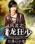 风流情魔免费