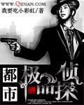好看的都市侦探