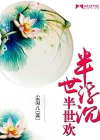 半世浮沉半生梦的意思