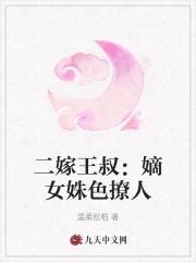 二嫁王妃不好惹全本免费阅读