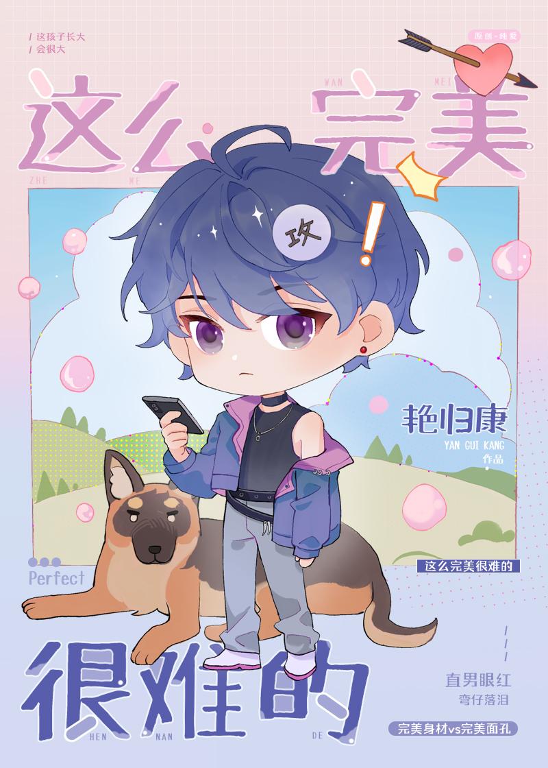 很完美是什么歌