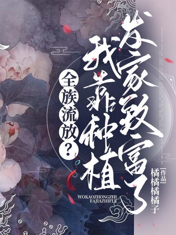 搬空县衙带族流放动画