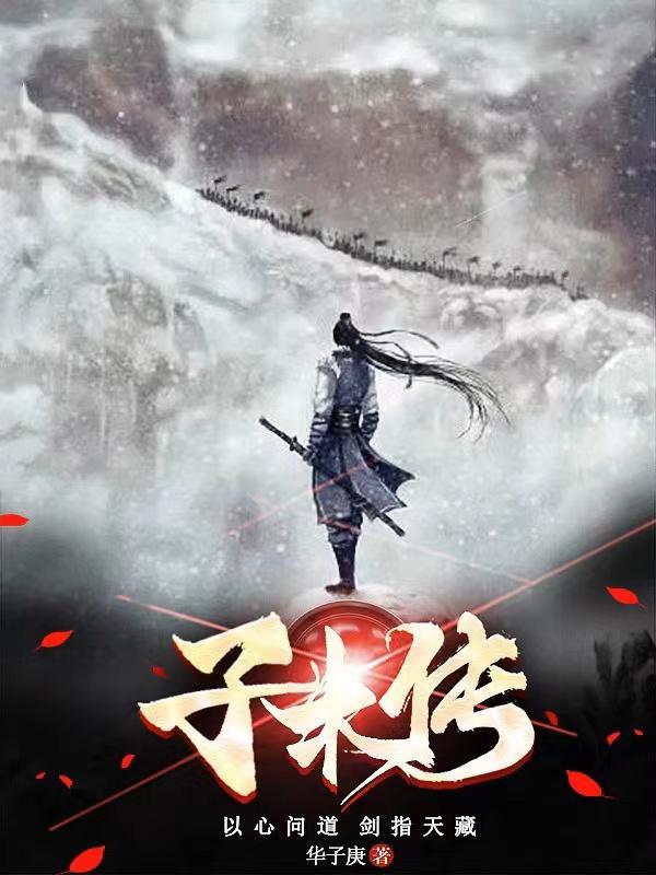 子木传 华子庚