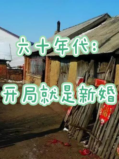 六十年代完结