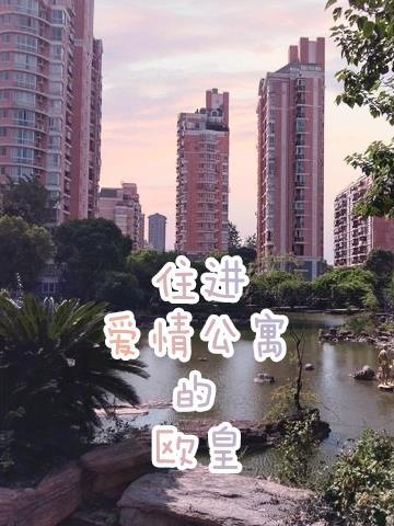 爱情公寓住的房间属于什么类型