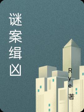 谜案缉凶评分