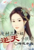 废柴三小姐逆天小狂妃