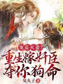 宠妾灭妻的重生