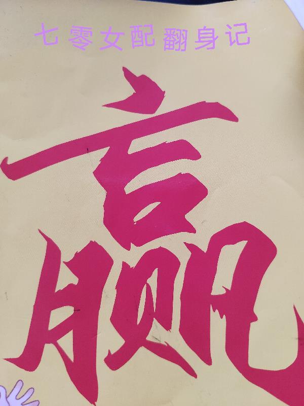 七零之女配翻身 作者悄然花开