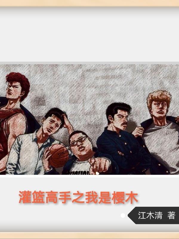 灌篮高手之我见1 樱木小雪版