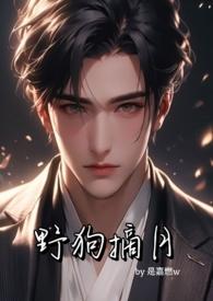 作者野狗的