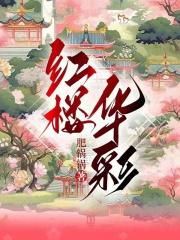 红楼华彩TXT奇书网