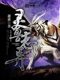 灵兽十二篇