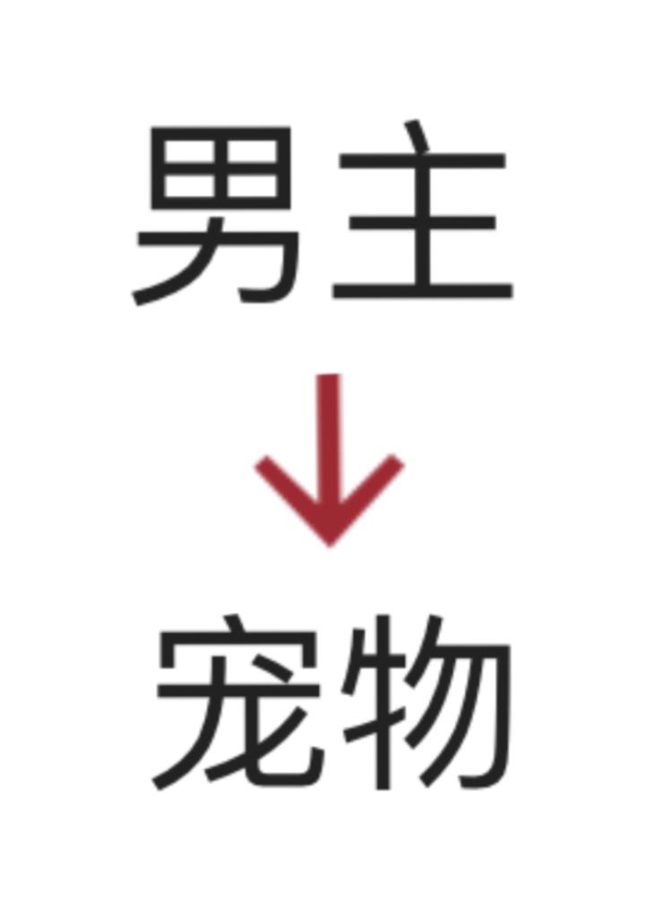 男主被当成宠物