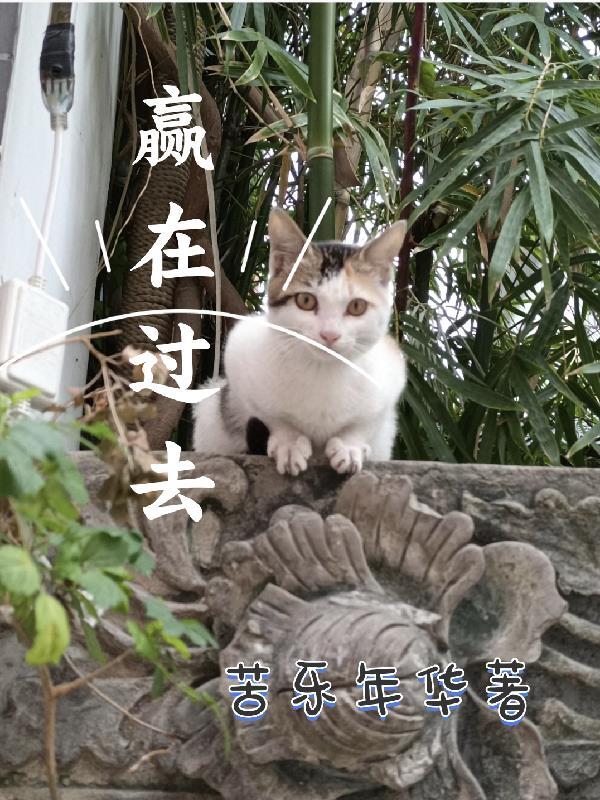 赢在过程的议论文事例