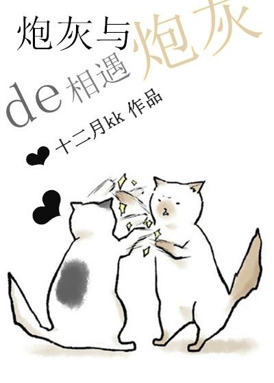 炮灰与炮灰的相遇txt