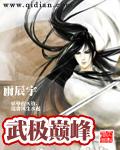 武极巅峰续写版