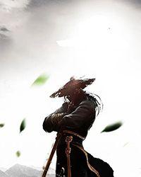 阴阳师 小狐狸