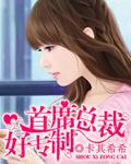首席总裁是什么职位