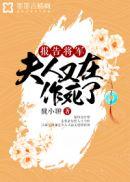 夫人又在打官司免费