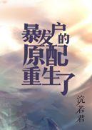 暴发户的前妻[年代