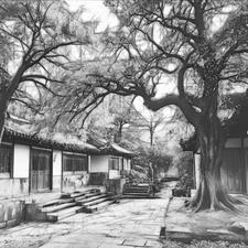 账房先生可以是女的吗