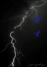 分寸陈惜墨