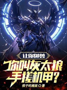 你叫灰太狼手搓机甲?616