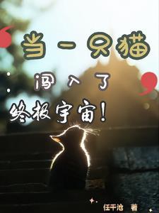 终极宇宙还要靠我一只猫来救你