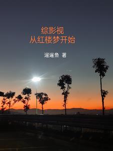 综影视包含红楼的