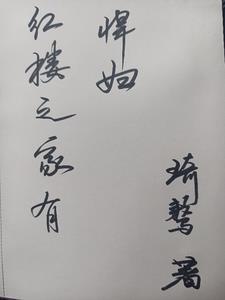 红楼之家有悍妇琦骜