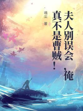 夫人且慢