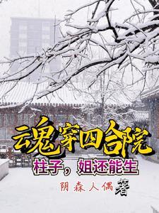 穿越四合院傻柱邻居