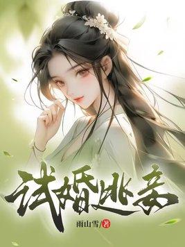 试婚逃妾电子版